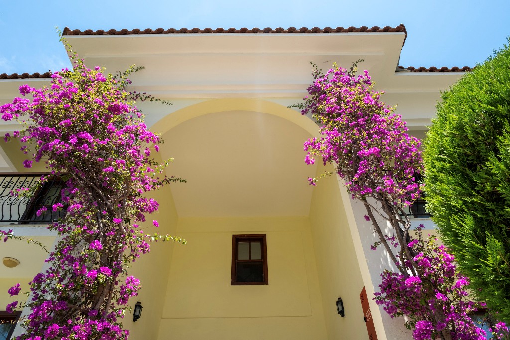 Katrancı Park Hotel Galeri